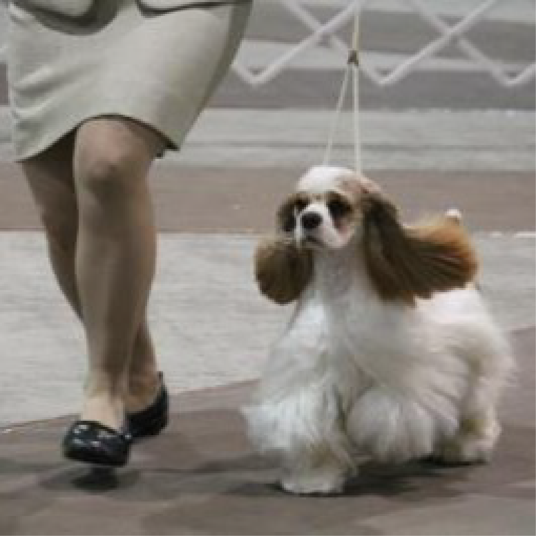 1 6 08
