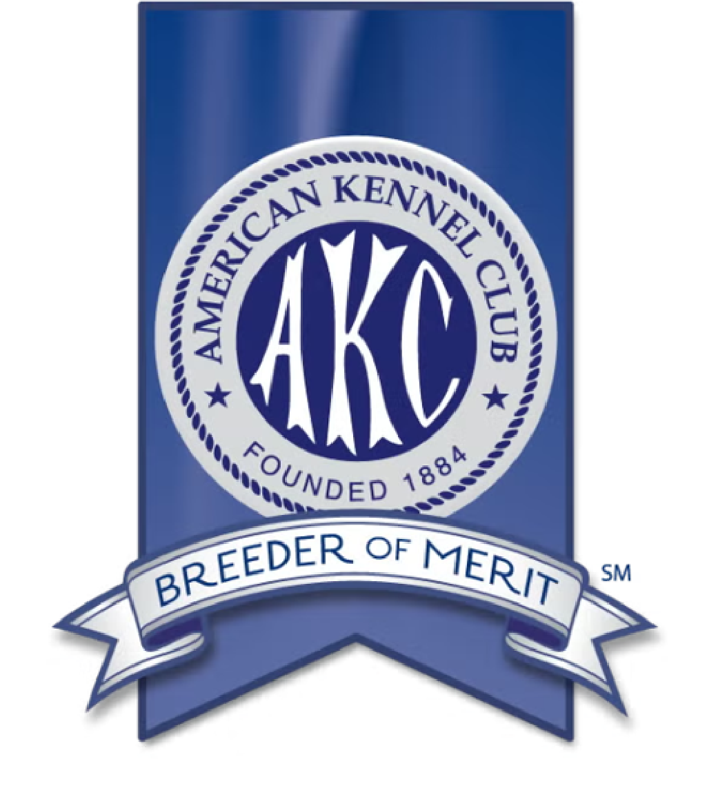 ourpartners logo1 04